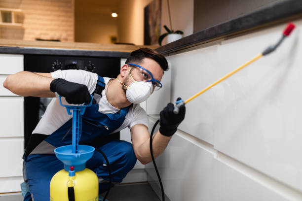 Best Pest Removal Services  in Hidden Meadows, CA