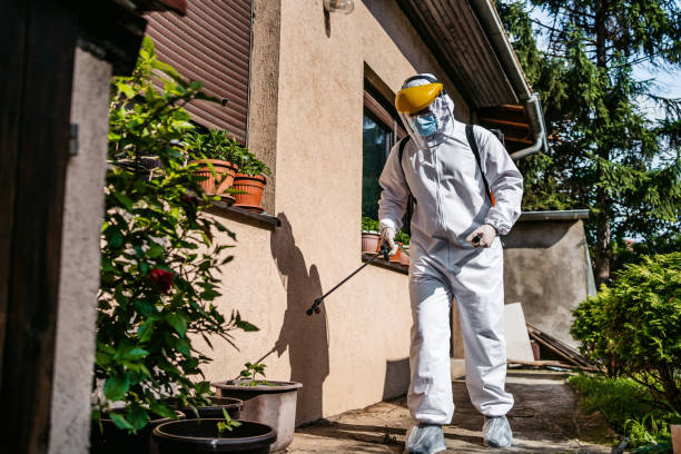 Best Mosquito Control Services  in Hidden Meadows, CA