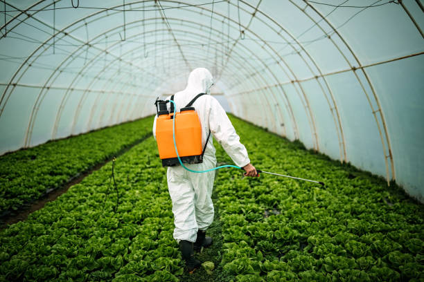 Best Affordable Pest Control Services  in Hidden Meadows, CA