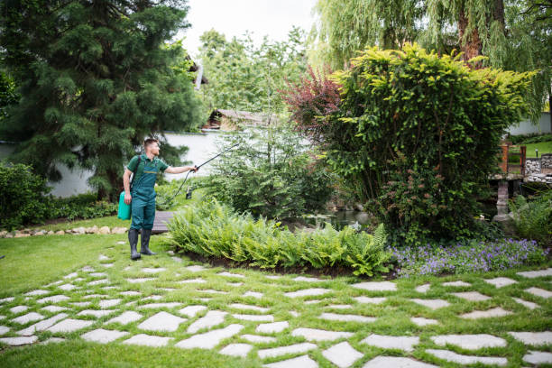 Best Affordable Pest Control Services  in Hidden Meadows, CA