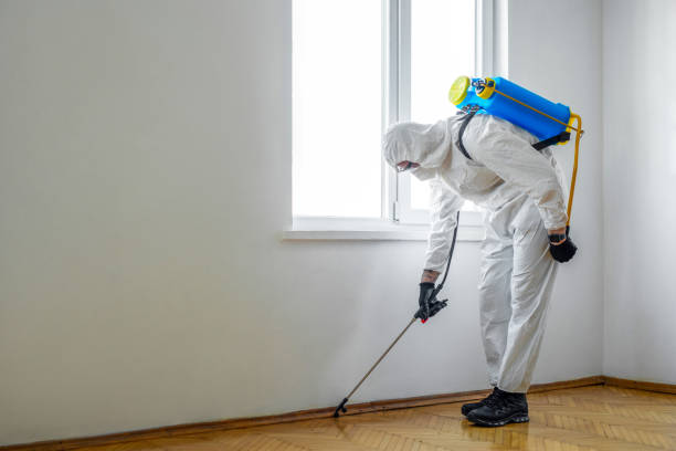 Best Residential Pest Control  in Hidden Meadows, CA